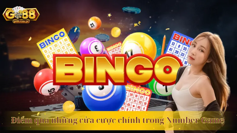 Điểm qua những cửa cược chính trong Number Game